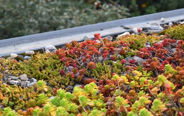 the cost of Drayford green roof installation