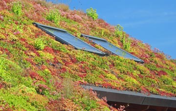Drayford living roof systems